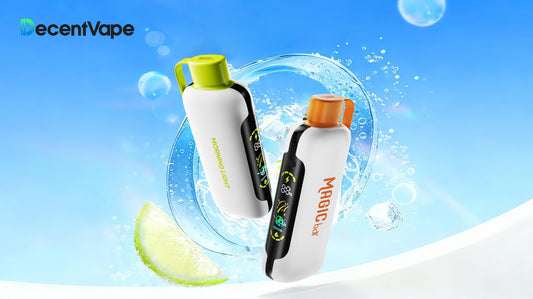 A carefully selected vape from DecentVape, a curated online vape store.